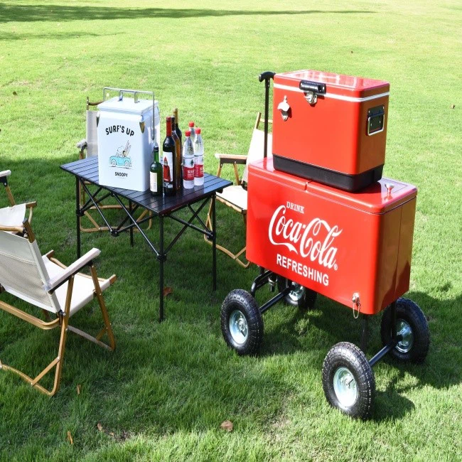 cooler box with wheel for shopping